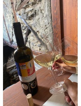 5/07 11:30AM VISIT AND TASTING OF WINE IMAGINE IN THE CELLAR CASA AUVINYÀ - JULY WINE TOURISM