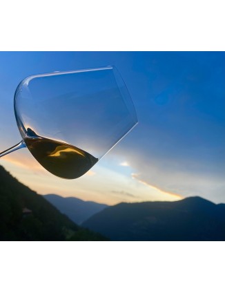 8/07  15:30PM VISIT AND TASTING OF WINE IMAGINE IN THE CELLAR CASA AUVINYÀ - JULY WINE TOURISM