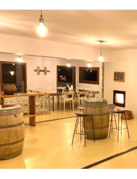 6/07 11:30AM VISIT AND TASTING OF WINE IMAGINE IN THE CELLAR CASA AUVINYÀ - JULY WINE TOURISM