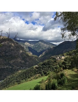 12/09 11:30 VISITA I TAST IMAGINE AL CELLER CASA AUVINYÀ - SETEMBRE ENOTURISME