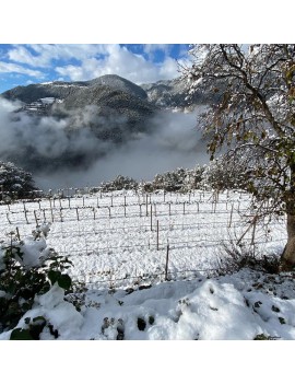 12/09 11:30 VISITA I TAST IMAGINE AL CELLER CASA AUVINYÀ - SETEMBRE ENOTURISME