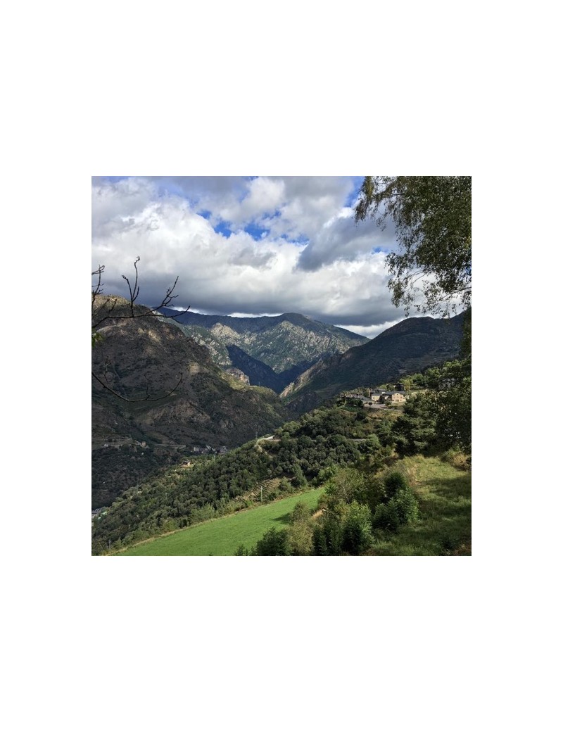 18/09 11:30 VISITE ET DÉGUSTATION IMAGINE DANS LA CAVE CELLER CASA AUVINYÀ- SEPTEMBRE OENOTOURISME