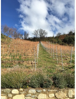 9/10 11:30 VISITA Y CATA DEL VINO IMAGINE EN LA BODEGA CELLER CASA AUVINYÀ - OCTUBRE ENOTURISMO