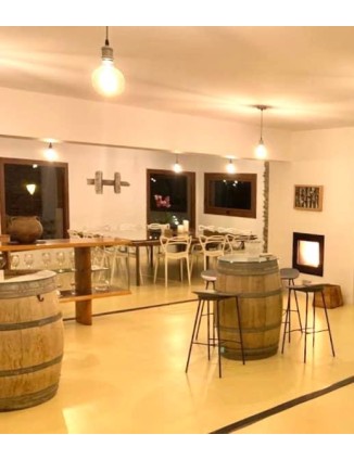 6/11 11:30AM VISIT AND TASTING OF WINE IMAGINE IN THE CELLAR CASA AUVINYÀ - NOVEMBER WINE TOURISM