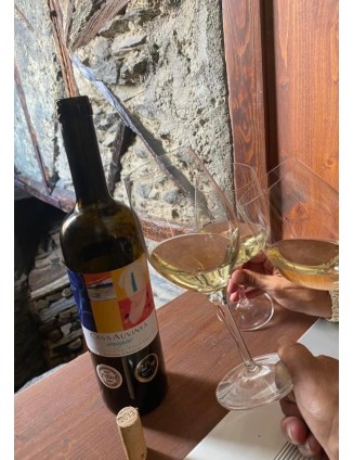 8/11 11:30AM VISIT AND TASTING OF WINE IMAGINE IN THE CELLAR CASA AUVINYÀ - NOVEMBER WINE TOURISM